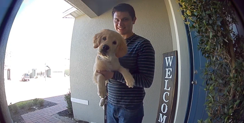 Besucher und Hund im Head-to-Toe-Bild der Ring Battery Doorbell Pro